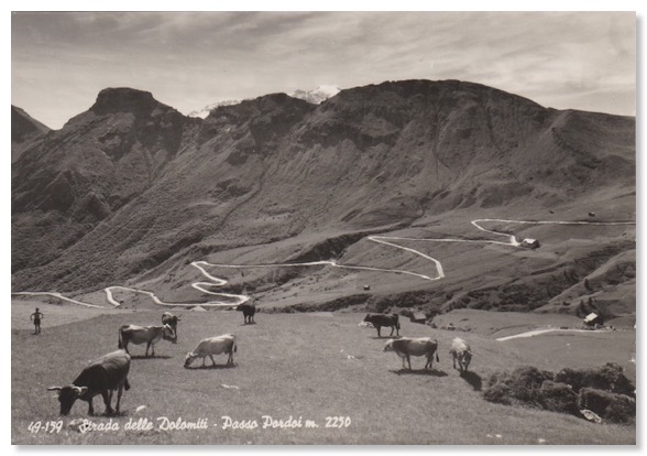 Pordoi descent with cows